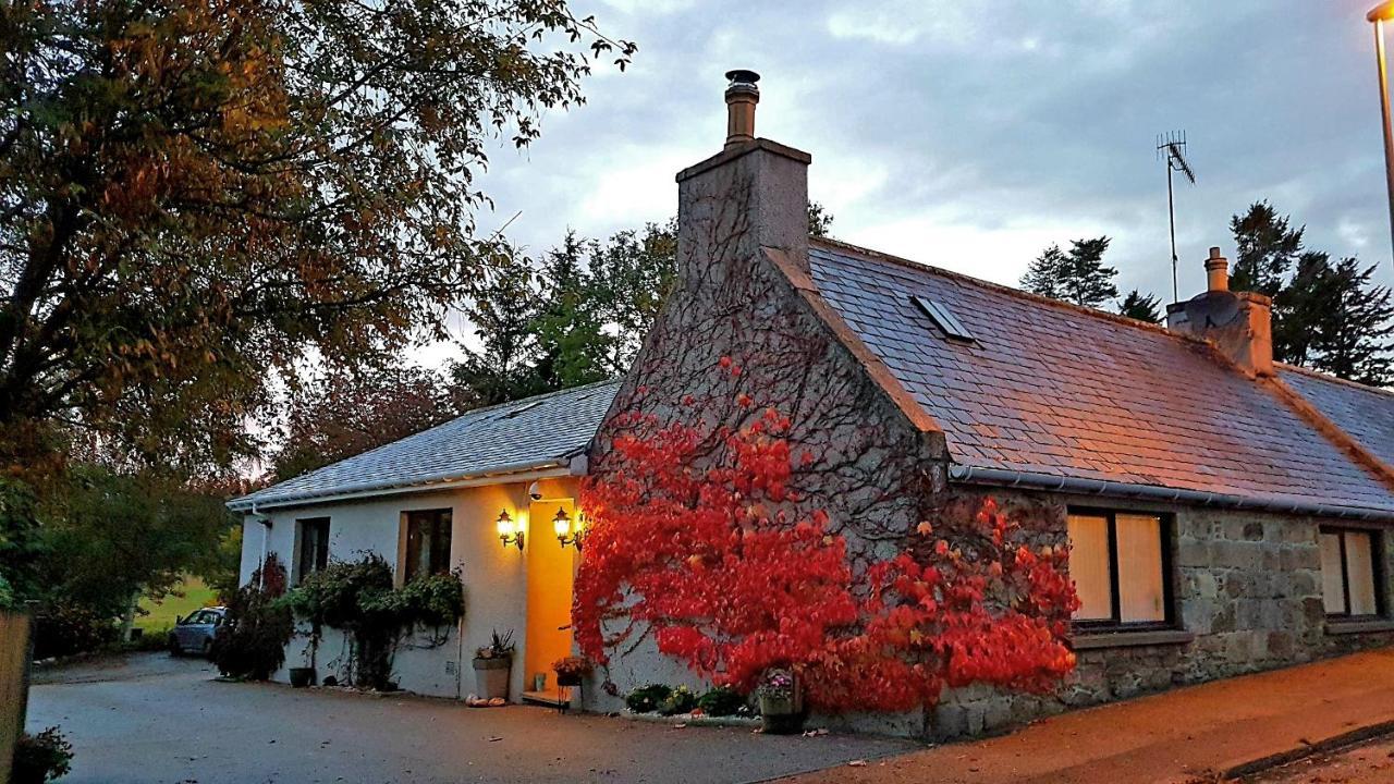 Lilyoak B&B & Self Catering Apartment Insch Kültér fotó